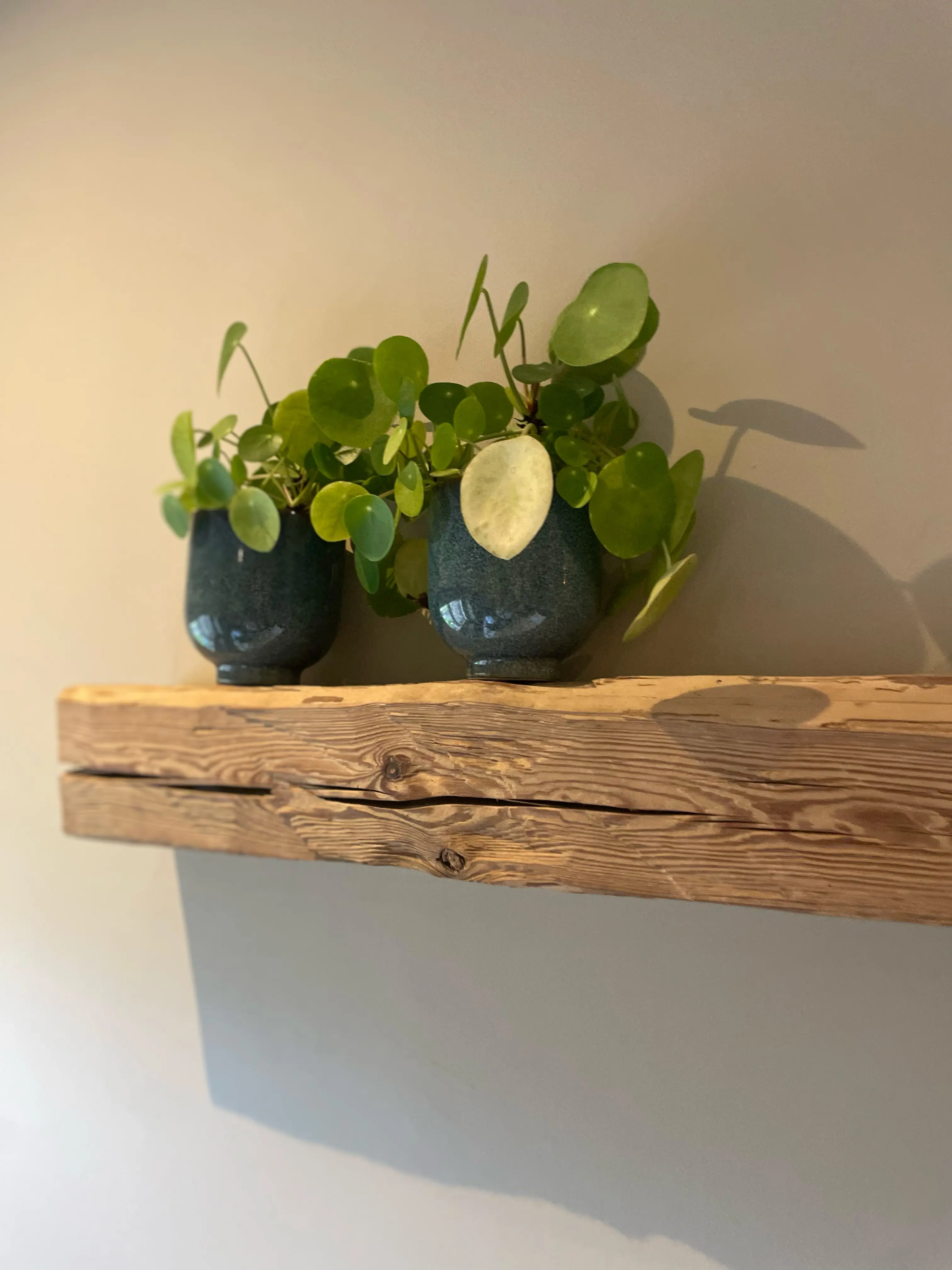 Oak beam for fireplace mantel with authentic character