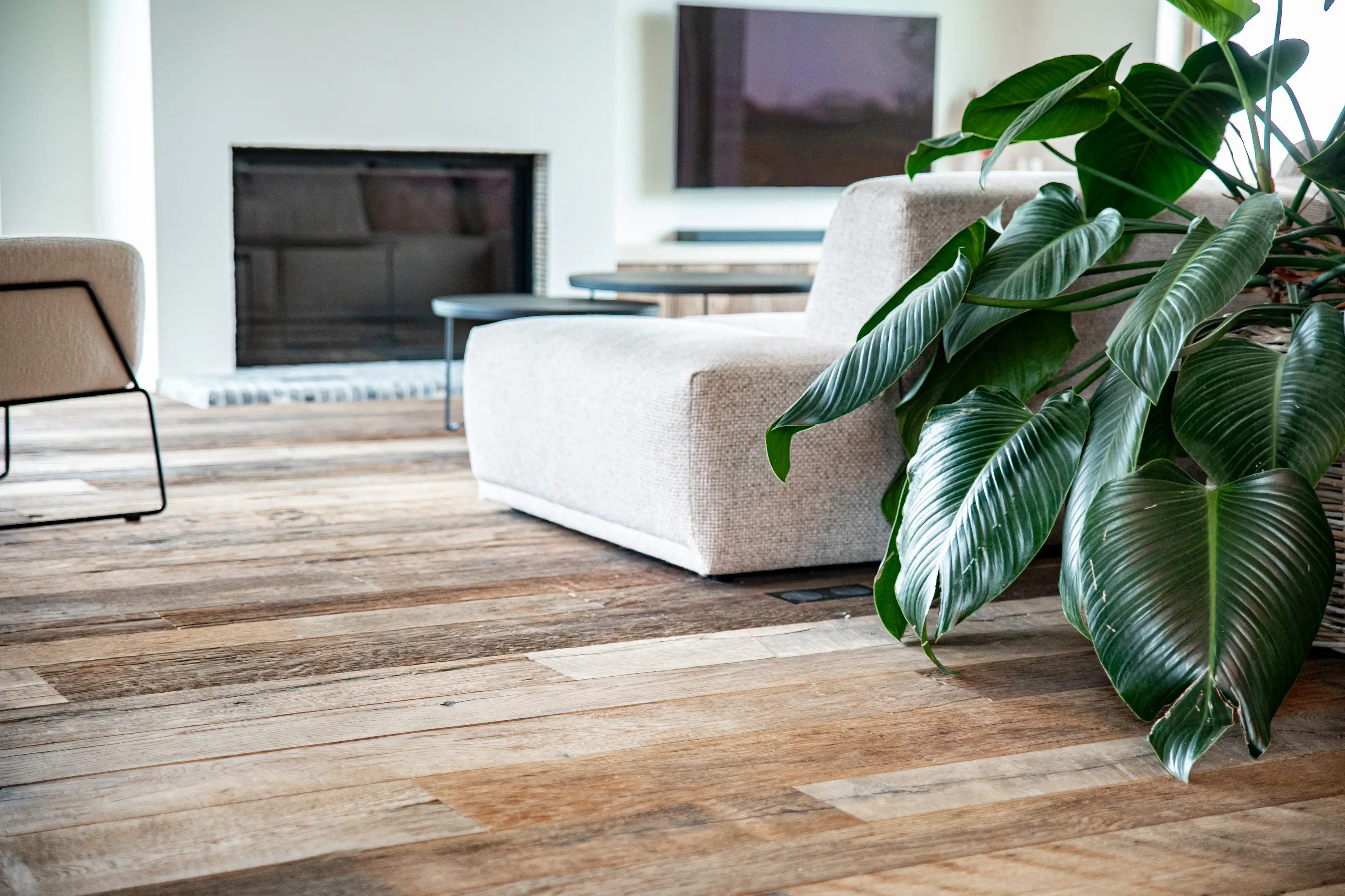 Sustainable oak floorboards creating a warm and stylish atmosphere in a contemporary space