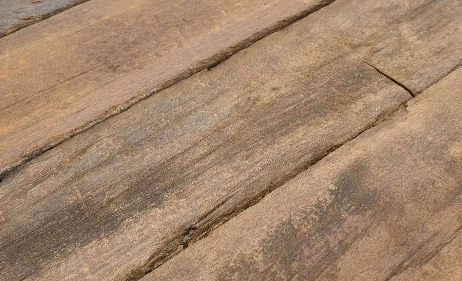 Oak paneling with warm tones and refined surface finish