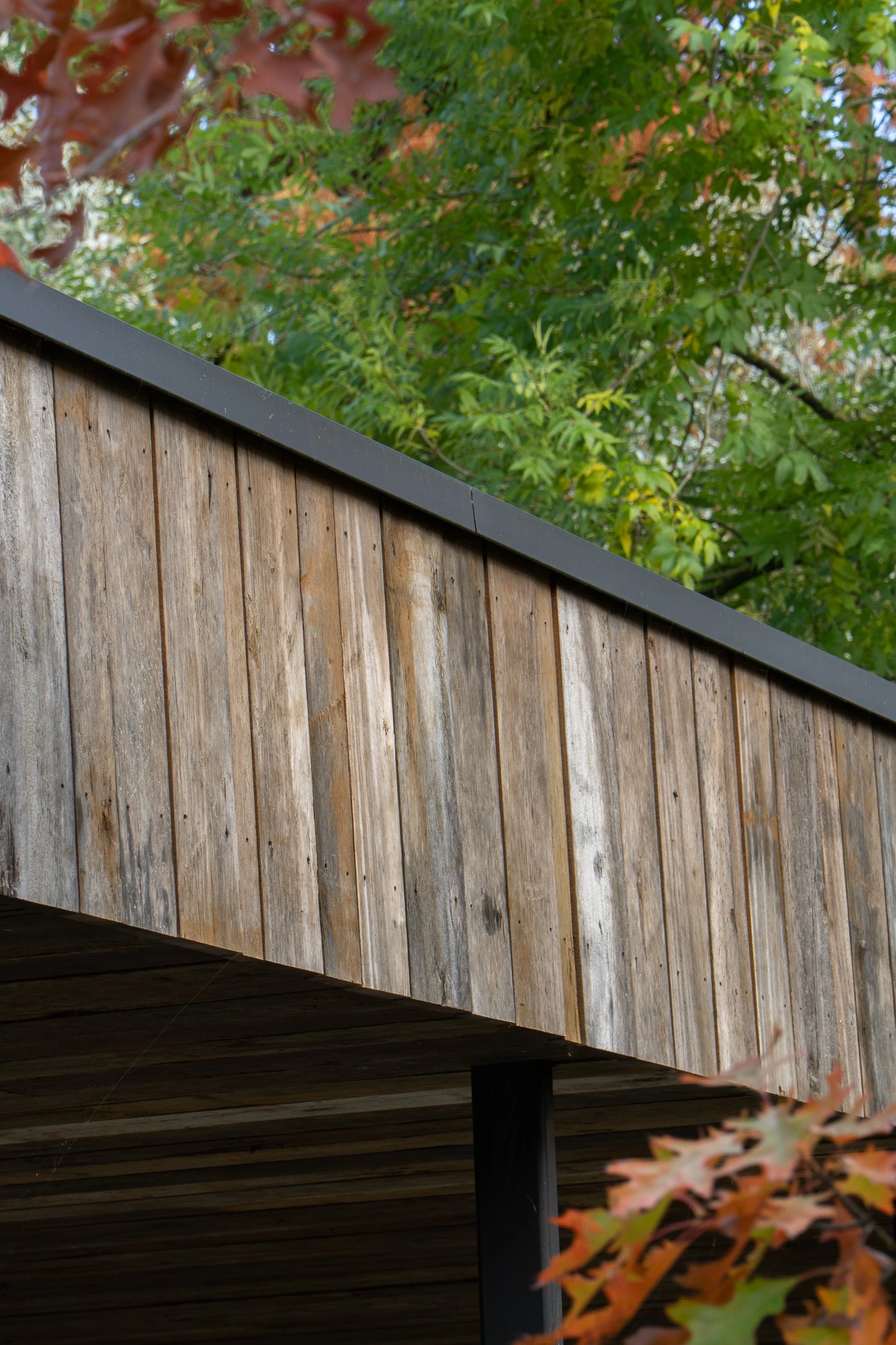 Modern architecture combined with rustic barnwood facade cladding and natural wood tones.