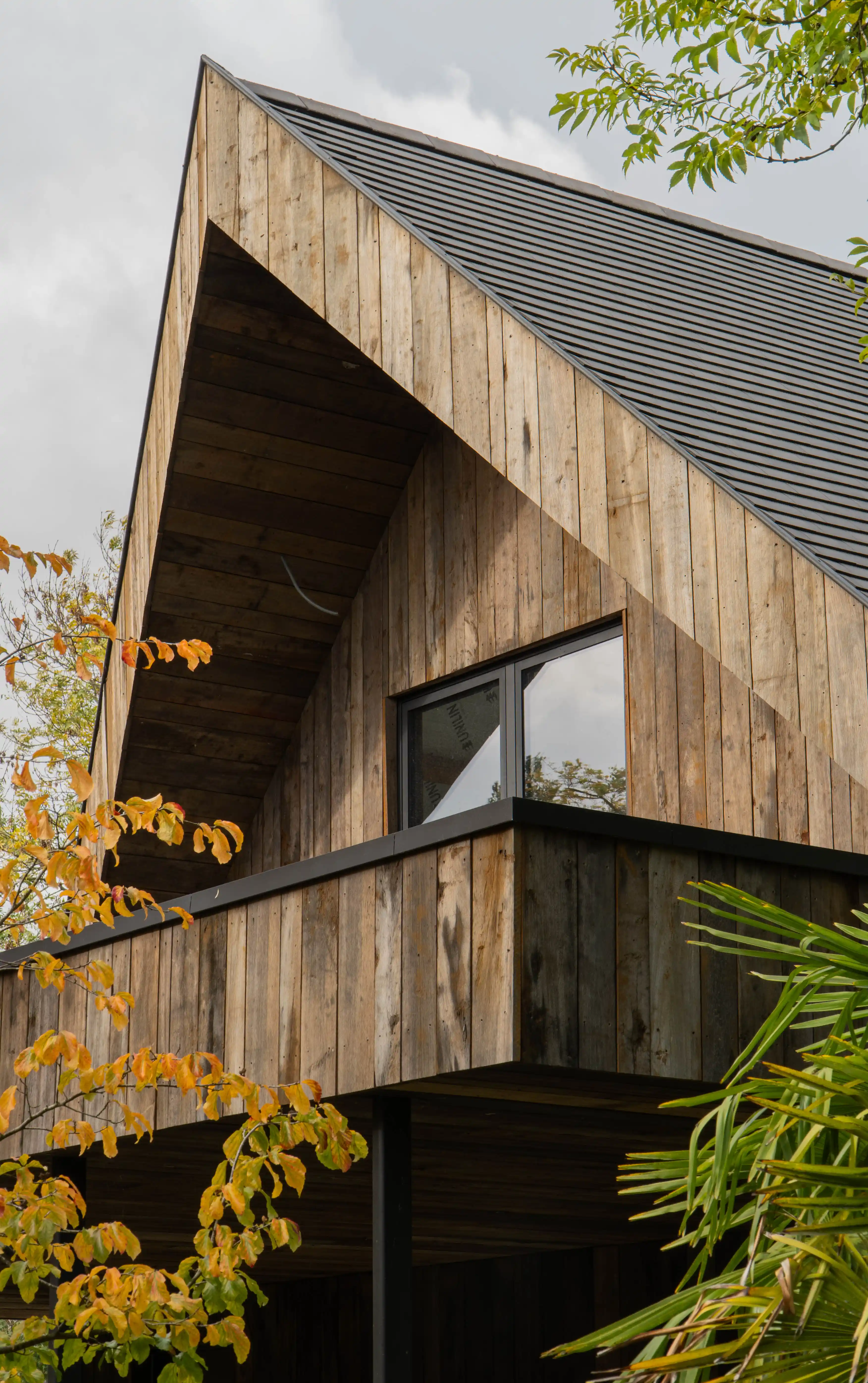 Exterior wall covered with oak boards showing grain and texture