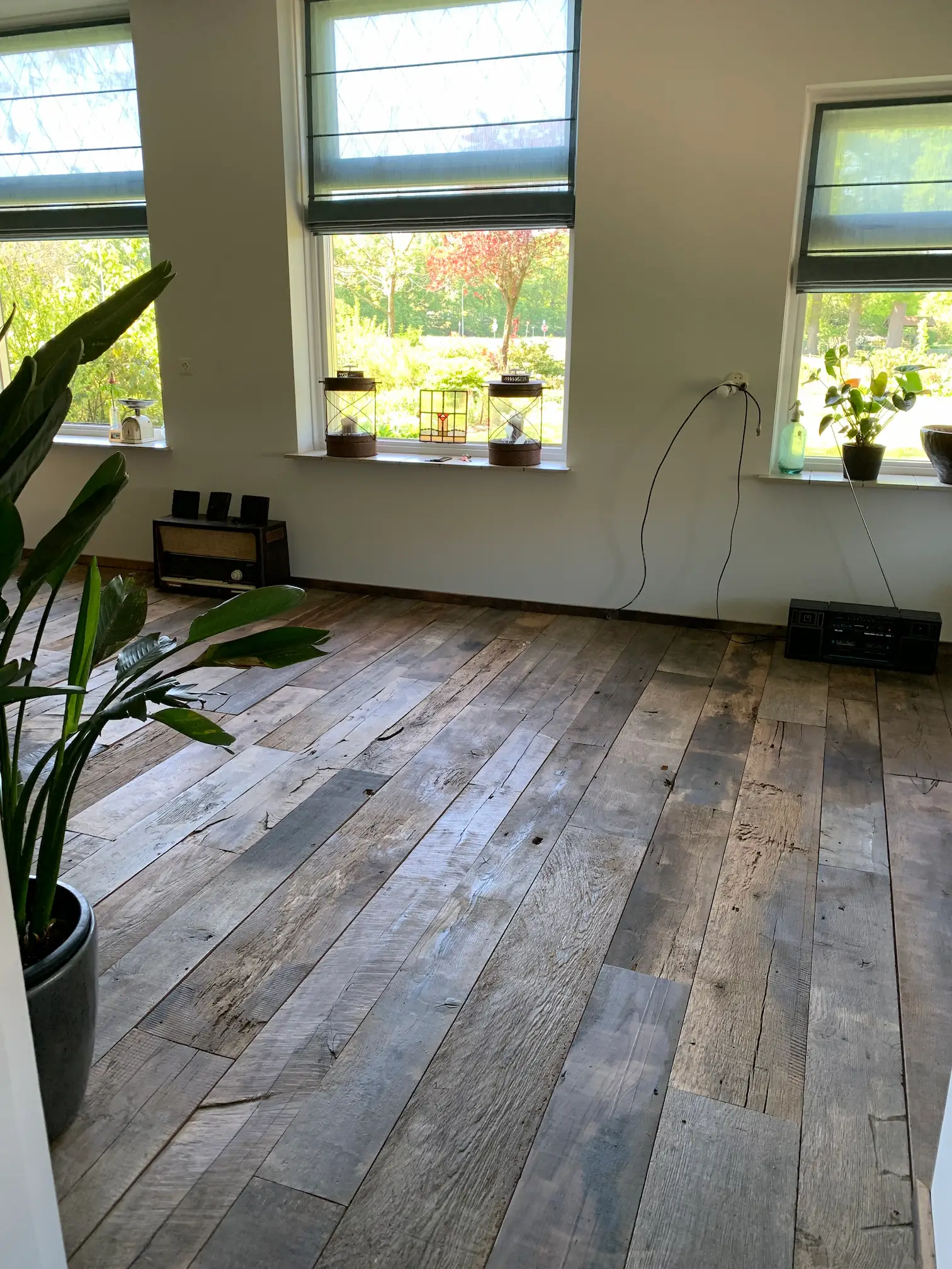 Elegant oak wooden flooring crafted from quality timber with natural rustic character